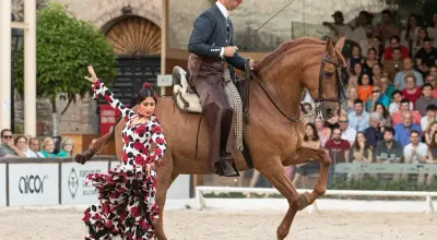 Equestrian show at the Caballerizas Reales de Córdoba with Andalusian horses