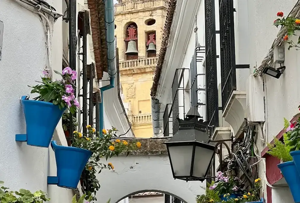 Calleja de las Flores