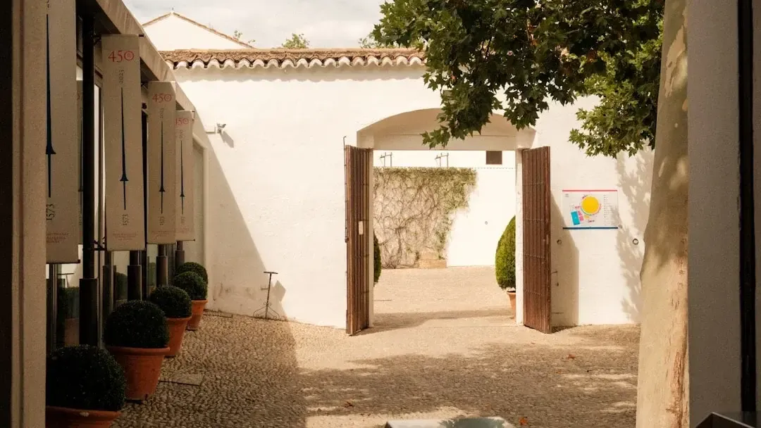 Wine tasting in a Montilla bodega cellar