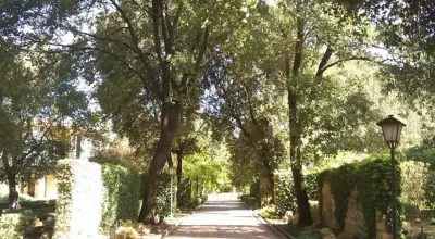 Green pathways of the Jardín Botánico de Córdoba with Mediterranean plants