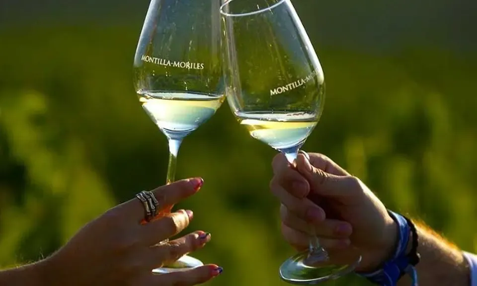 Córdoba gastronomy with Montilla-Moriles wine