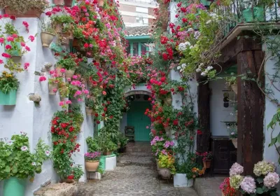 Flower-filled patio in San Basilio with whitewashed walls covered in red geraniums