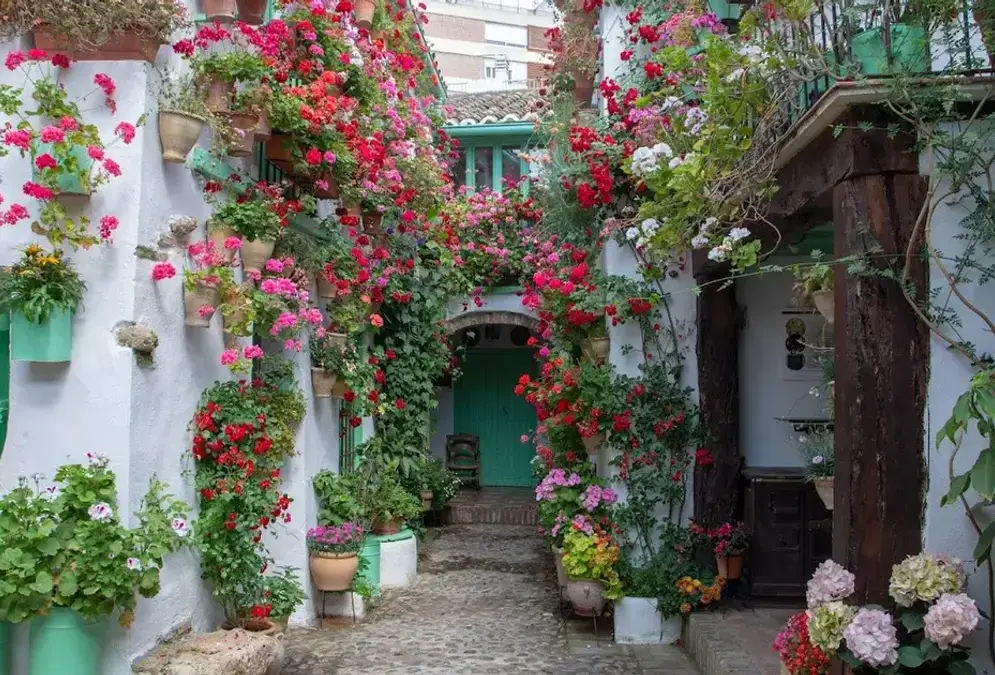 Patios de San Basilio
