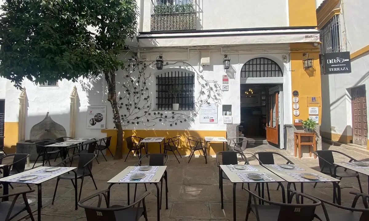 Bar Vinoteca Ordóñez