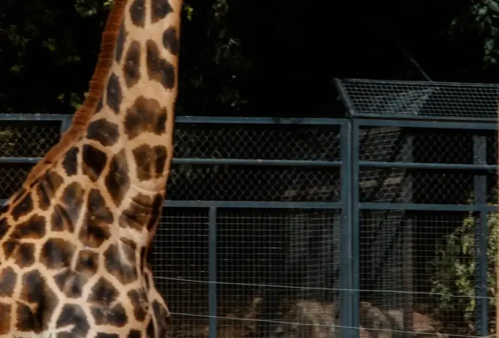 View of Zoo de Córdoba